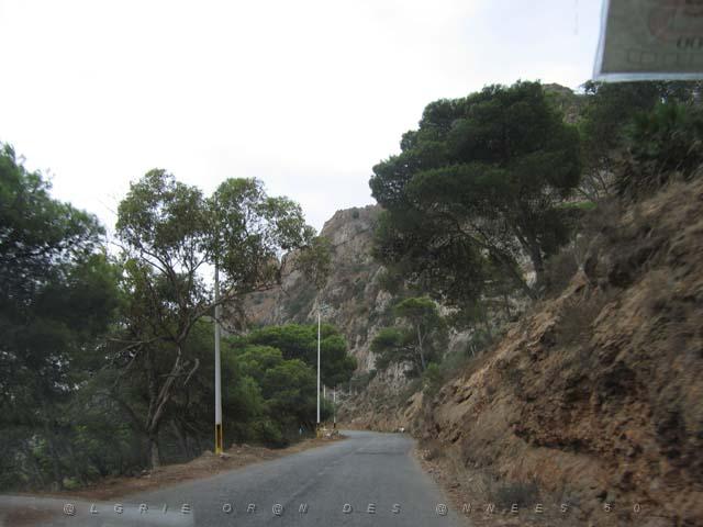 VOYAGE ORAN SEPTEMBRE 2006 104 13 sept. 06 - matin -SUR LA ROUTE DES PLANTEURS VERS SANTA CRUZ.JPG